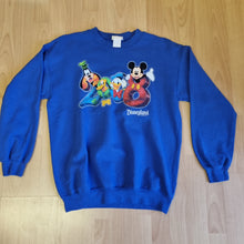 Load image into Gallery viewer, Disneyland Resort Jumper M
