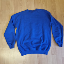 Load image into Gallery viewer, Disneyland Resort Jumper M
