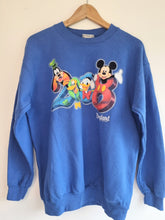 Load image into Gallery viewer, Disneyland Resort Jumper M
