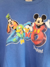 Load image into Gallery viewer, Disneyland Resort Jumper M
